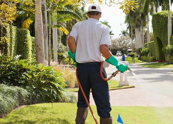 About Riverdale NE Pest Control Pros
